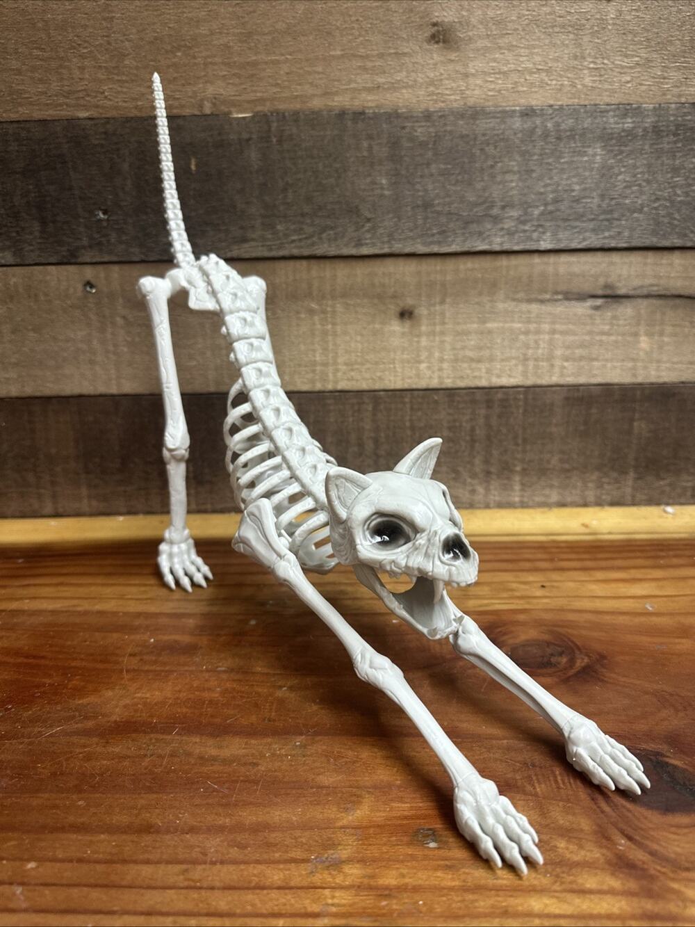 Halloween Cat Skeleton Decoration Scary Prop Animal Bones Skull 14” Long